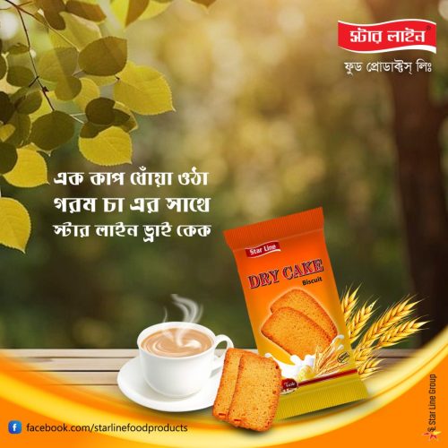 487206960 1078956140940059 439288544831040428 n