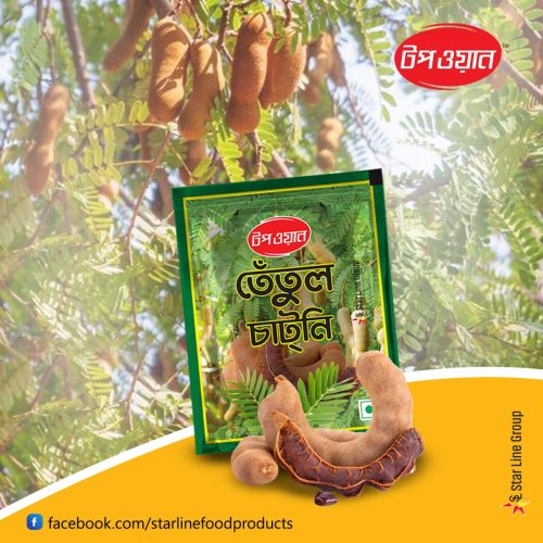 487311297 1078961054272901 3441975892947231065 n